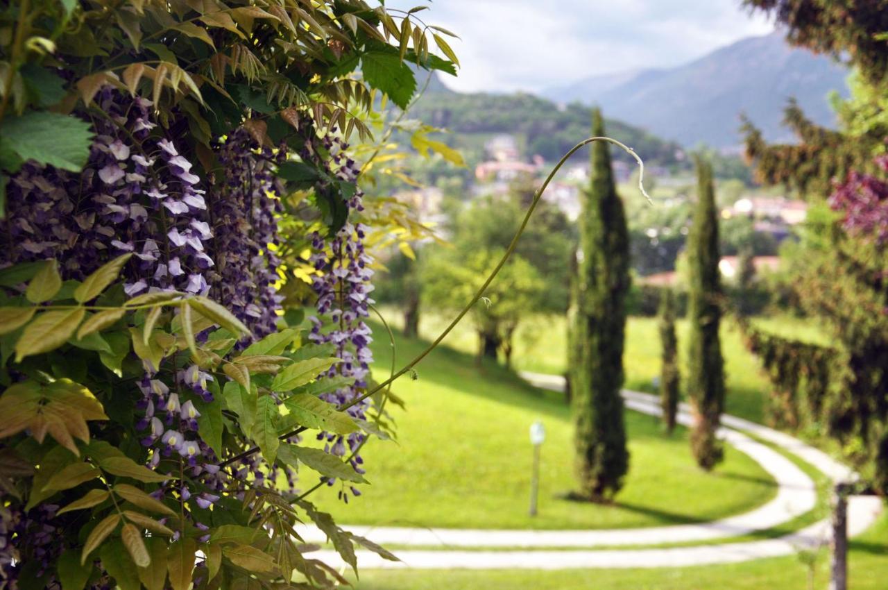 Casa Vacanze Il Noce Sovere Exteriér fotografie